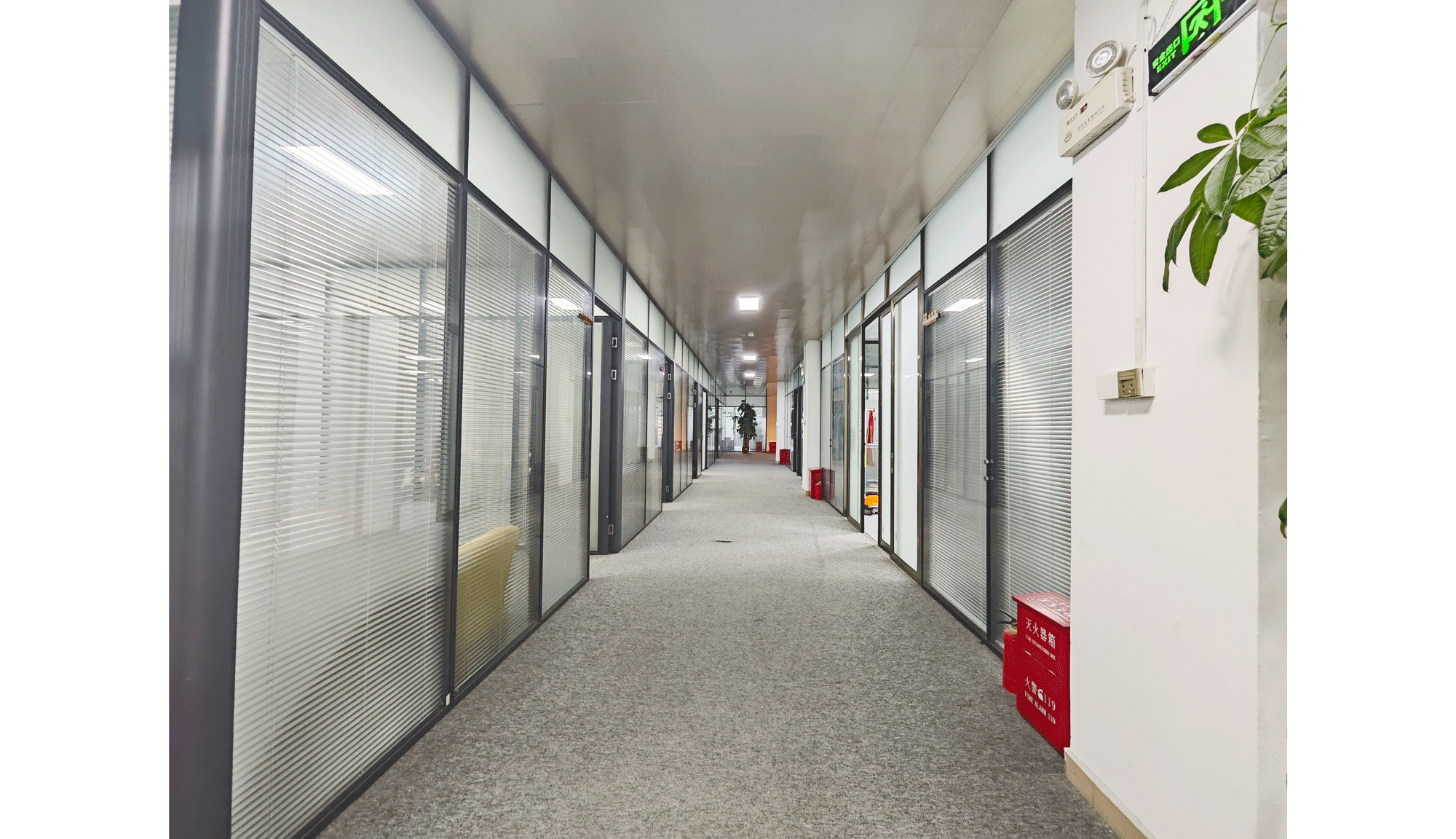 总部办公室走廊