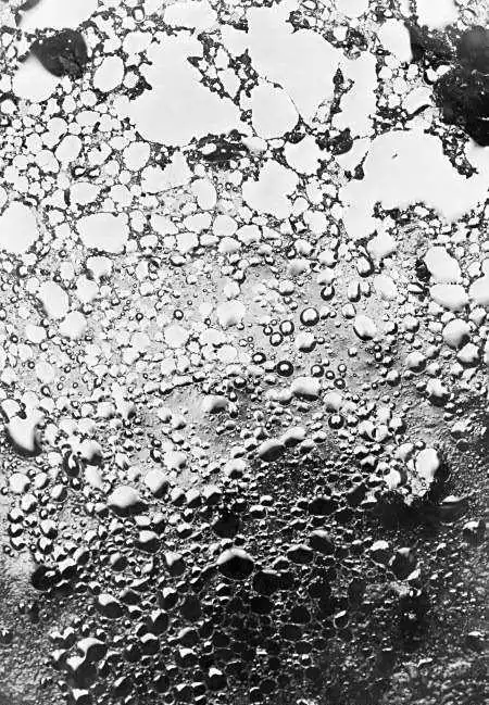 为什么TDS报告对胶粘剂产品很重要？